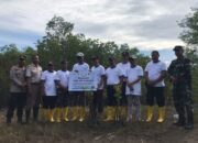 Lestarikan Lingkungan, Pelindo Cabang Lembar Tanam 33 Ribu Pohon Mangrove di Lombok Barat