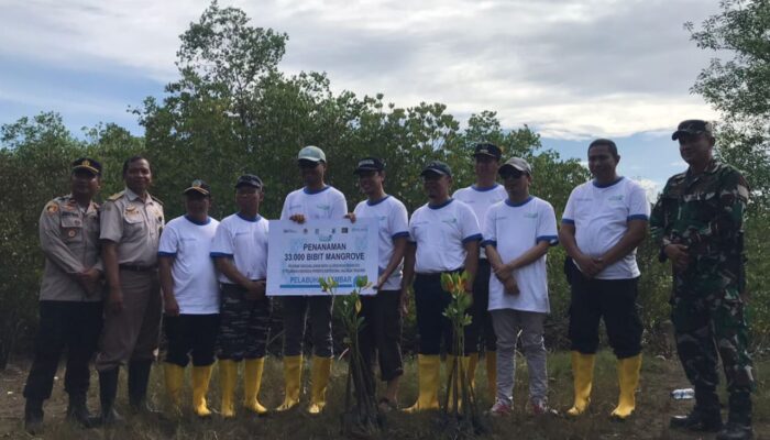 Lestarikan Lingkungan, Pelindo Cabang Lembar Tanam 33 Ribu Pohon Mangrove di Lombok Barat