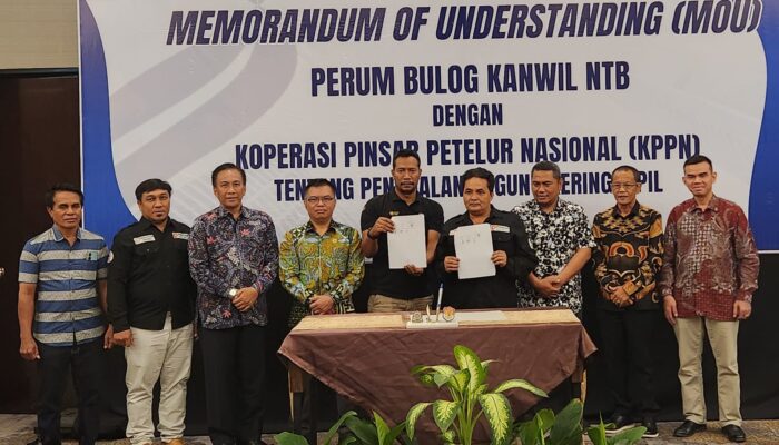 Bulog NTB Jual 1.300 Ton Jagung untuk Pakan Ternak di Pulau Jawa