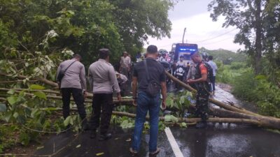 Tanggap Darurat Cuaca Ekstrem, Polsek Gerung Atasi Pohon Tumbang