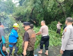 Lombok Barat Dilanda Puting Beliung: 16 Rumah Alami Kerusakan