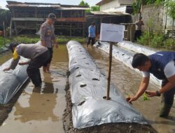 Bersama Kelompok Tani, Desa Jagarga Indah Dukung Ketahanan Pangan Bergizi