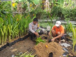Pentingnya Program Ketahanan Pangan, Polsek labuapi Ajak Warga Tanam Sayuran