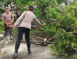 Lombok Barat Kena Cuaca Ekstrem, Tim Gabungan Cepat Evakuasi Pohon Tumbang