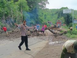 Polsek Buer Laksanakan Pengamanan Penebangan Pohon Tua di Jalan Lintas Tano-Sumbawa