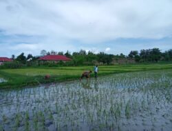 Polsek Manggelewa Dorong Program Ketahanan Pangan Nasional Melalui Silaturahmi dan Sosialisasi di Desa Doromelo