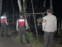 Sinergi Polisi-Warga Sekotong: Jaga Kamtibmas Lewat Patroli Malam