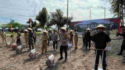 Sinergi Polri-Petani, Lombok Barat Jadi Lokomotif Swasembada Jagung 2025