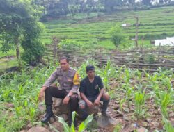 Bhabinkamtibmas Desa Pesa Sosialisasikan Pemanfaatan Pekarangan di So Wadu Pa’a