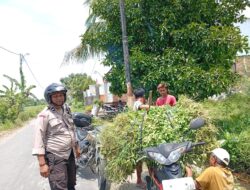 Aksi Nyata Bhabinkamtibmas: Dorong Warga Merembu Mandiri Pangan