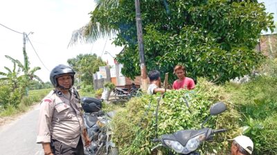 Bhabinkamtibmas Merembu Dukung Ketahanan Pangan, Warga Semangat!