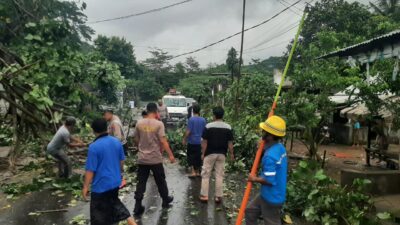 Sekotong Lumpuh Sementara Akibat Pohon Tumbang, Ini Kata Kapolsek!