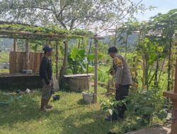 Ketahanan Pangan Kuat: Inisiatif Lahan Bergizi di Lombok Barat