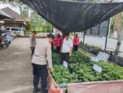 Polsek KP3 Lembar Optimalkan Pekarangan untuk Pangan Lestari
