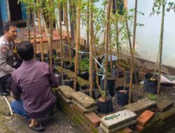Ketahanan Pangan Prioritas, Polsek Labuapi Motivasi Warga Kembangkan Pekarangan Produktif