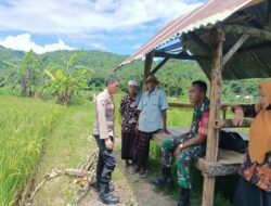 Sinergi Polisi & Petani: Harga Gabah Aman, Panen Tenang!