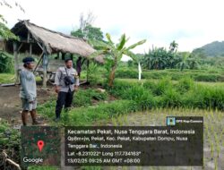 Bhabinkamtibmas Desa Pekat Pantau Lahan Pertanian untuk Program Ketahanan Pangan Nasional