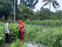 Bhabinkamtibmas Talonang Baru Ajak Kelompok Tani Wanita (KWT) Sebagai Pelopor Bertani Sayur dan Tanaman Bergizi