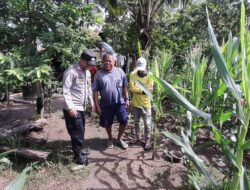 Polsek Hu’u Pantau Pengolahan Lahan Pertanian di Desa Daha untuk Dukung Ketahanan Pangan