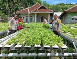 Dukung Ketahanan Pangan, Kasat Binmas Polres Bima Kota Pantau Lahan Pangan Bergizi Warga