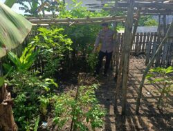 Anggota Polres Sumbawa Barat, Bhabinkamtibmas Desa Tamekan Mengecek Pekarangan Pangan Bergizi Warga Binaan
