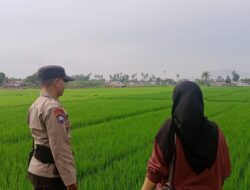 Polisi & Mahasiswa Bersatu, Warga Terinspirasi Kembangkan Pertanian di Desa Terong Tawah