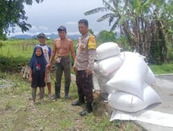 Pekarangan Produktif, Keluarga Sejahtera: Sukses Desa Beleka Wujudkan Ketahanan Pangan