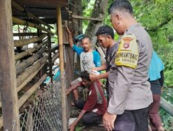 Dari Beternak dan Berkebun: Polisi Ini Ubah Mindset Warga demi Ketahanan Pangan