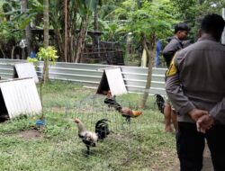 Kapolsek Batulayar: Komitmen Nyata untuk Keamanan Lombok Barat