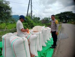 Bhabinkamtibmas Desa Ranggo Monitoring Lahan Jagung, Dukung Program Ketahanan Pangan Nasional