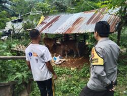 Lombok Barat Mandiri Pangan, Ini Peran Aktif Polisi