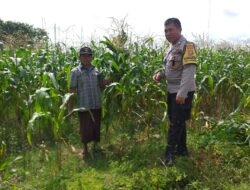 Ketahanan Pangan Lombok Barat: Sinergi Polisi dan Warga di Dusun Tegal
