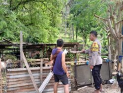 Inspiratif! Bhabinkamtibmas Gerakkan Kemandirian Pangan Desa