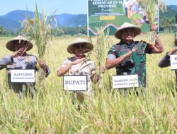 Kapolres Sumbawa Barat Hadiri Panen Raya Padi di Desa Rempe