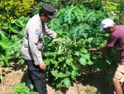 Dukung Program Asta Cita Swasembada Pangan, Bhabinkamtibmas Cek Lokasi Pekarangan Pangan Bergizi Milik Warga Desa Mantun