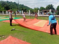 Jagung Terancam Gagal Panen Akibat Hujan, Warga Marada Tetap Semangat Dukung Ketahanan Pangan