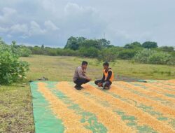 Pantau dan Bantu Petani di Wilayah Binaan Bhabinkamtibmas Polsek Tambora Dukung Penuh Program Prioritas Presiden RI