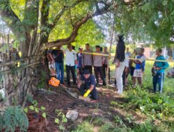 Tinggalkan Sebuah Pesan, Seorang Pria Ditemukan Gantung Diri Di Area Persawahan Moyo Hulu.