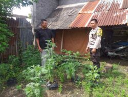 Polsek Kuripan Apresiasi Upaya Ketahanan Pangan Warga Jagaraga