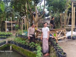 Bhabinkamtibmas Kuripan Aktif Dampingi Pemuda Tanam Sayuran