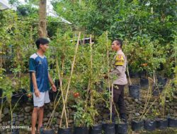 Sinergi Polri dan Pemuda: Wujudkan Kemandirian Pangan di Desa Kuripan