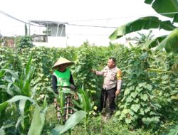 Sinergi Polri-Masyarakat Wujudkan Ketahanan Pangan di Lombok Barat