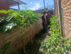 Bhabinkamtibmas Desa Lamusung Turun ke Lahan, Dukung Warga Kelola Pekarangan Jadi Sumber Pangan Bergizi