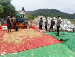 Bhabinkamtibmas Desa Hu’u Pantau Penggilingan Jagung Warga, Ingatkan Pentingnya Kualitas Panen
