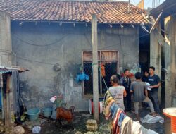 Beli Kambing Hasil Curian, Seorang Pria Diamankan Tim Opsnal Polsek Rasbar, Pelaku Utama Masih Diburu