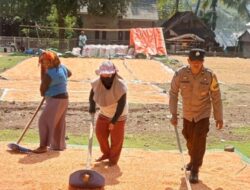 Bhabinkamtibmas Polres Bima Kota Pantau dan Bantu Warga Jemur Jagung di Desa Binaan
