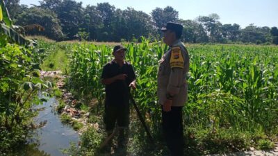 Sinergi Polisi dan Petani Wujudkan Ketahanan Pangan di Gerung Selatan