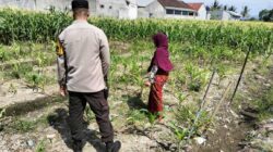 Polsek Labuapi Aktifkan Lahan Pekarangan untuk Pangan Lokal