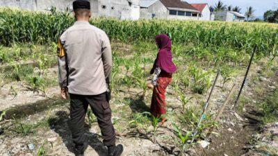 Bhabinkamtibmas Labuapi Dorong Pemanfaatan Lahan Demi Ketahanan Pangan