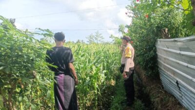 Sinergi Polri dan Petani di Desa Ombe Baru, Lombok Barat